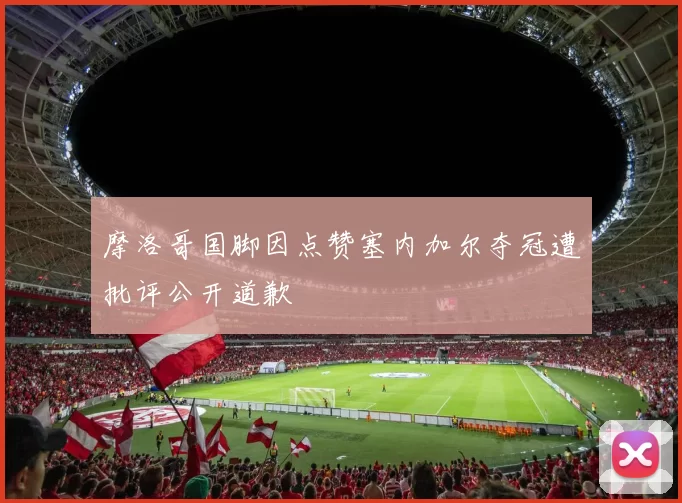 摩洛哥国脚因点赞塞内加尔夺冠遭批评公开道歉